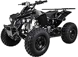 Actionbikes Motors Kinder Midiquad ATV S-10 125 cc - E-Start - Scheibenbremse hinten - Trommelbremsen vorne - Luftreifen (Schwarz)