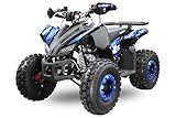 Nitro Motors 125cc midi Kinder Quad Rizzo RS8-A Platin, Farbe:Grün