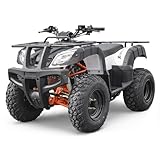 Kayo AU150 Utility Kinderquad Jugend Quad 3 Gang Semiautomatik + Rückwärtsgang