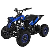 Actionbikes Motors Mini Kinder Elektro Quad ATV RENEBLADE 𝟭𝟬𝟬𝟬 Watt Pocket Quad - Original Safety Touch Fußschalter - 48 Volt - Kinder Pocketquad (Schwarz/Blau)