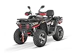 NITRO MOTORS 300cc Maxi Kinder Quad Tricia 80km/h EEC Platin, Farbe:Rot