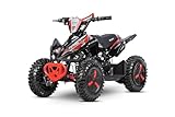 NITRO MOTORS 49cc mini Kinder Quad Python Snowy-Profile L Sport 6', Farbe:Rot