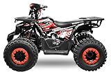 NITRO MOTORS 125cc midi Kinder Quad Rugby RS8-A Platin, Farbe:Rot