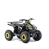 KXD ATV 003 7' 110cc Knopfdruckstarter 4T Quad Mini ATV Miniquad Benzinmotor quad Enduro Pocketquad gelb