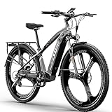 RICH BIT M520 E-Bike Männer Frauen, 29 Zoll E-Mountainbike, 48V Lithium-Ionen-Akku E-Bike, 7-Gang-Elektrofahrrad (grau05)