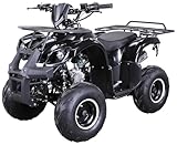 Actionbikes Motors Kinder Quad S-8 Farmer | 4 Takt 125 cc 7 kW Benzinmotor - Bis 50 km/h - Pocket Quad - Kinderquad - Miniquad - Not-Aus-Leine - Daumengas drosselbar - Kinderfahrzeug (Schwarz)