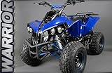 125cc Quad Kinderquad ATV Warrior 3G8 Halbautomatik mit Rückwärtsgang