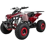 Actionbikes Motors Kinder Quad S-10 | 4 Takt 125 cc 7 kW Benzinmotor - Bis 50 km/h - Pocket Quad - Kinderquad - Miniquad - Not-Aus-Leine - Daumengas drosselbar - Kinderfahrzeug (Metallic Rot)