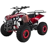 Actionbikes Motors Kinder Quad Elektro ATV S-10 | 𝟒𝟖 Volt 𝟭𝟬𝟬𝟬 Watt Motor bis 𝟐𝟬 km/h - Kinderquad - Pocket Quad - Miniquad - Scheibenbremsen - Für Kinder ab 8 Jahren (Metallic/Rot)