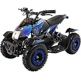 Actionbikes Motors Mini Kinder Elektro Quad ATV Cobra I 𝟖𝟎𝟎 Watt 𝟑𝟔 Volt - Pocket Quad - Kinderquad - Safety Touch System Fußschalter - 3 Geschwindigkeitsstufen (Schwarz/Blau)