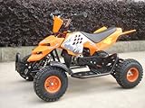 Mini ATV Easy Pullstart Quad Pocketquad Kinderquad Kinderfahrzeug Repti (Orange)