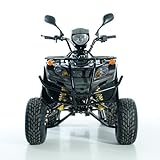 Easyone Motors Aufgebautes Quad ATV 150ccm mit Straßenzulassung 3 versch. Farben, Farbe:schwarz